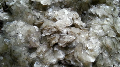碱性凯发K8国际酶解鱼鳞制备胶原蛋白多肽，成品有沉淀？