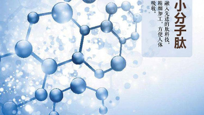 关于蛋白质与蛋白肽的区别，您有了解多少？
